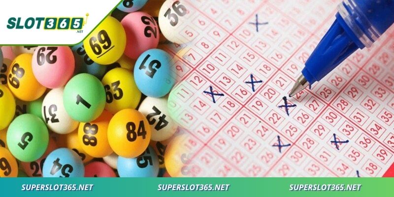 Mỗi ngày đều tràn ngập bất ngờ và phần thưởng