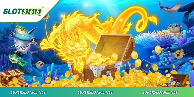 Trải nghiệm cuốn hút từ hình ảnh đến phần quà giá trị